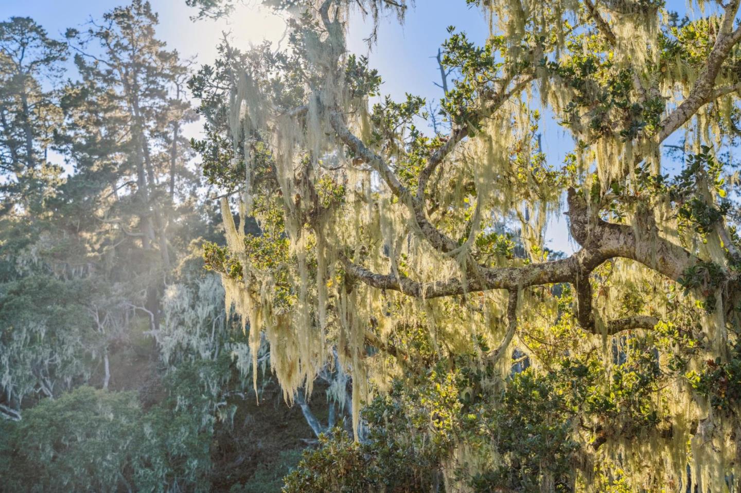 1100 Castro Road Monterey, CA 93940 - Photo 58 of 70