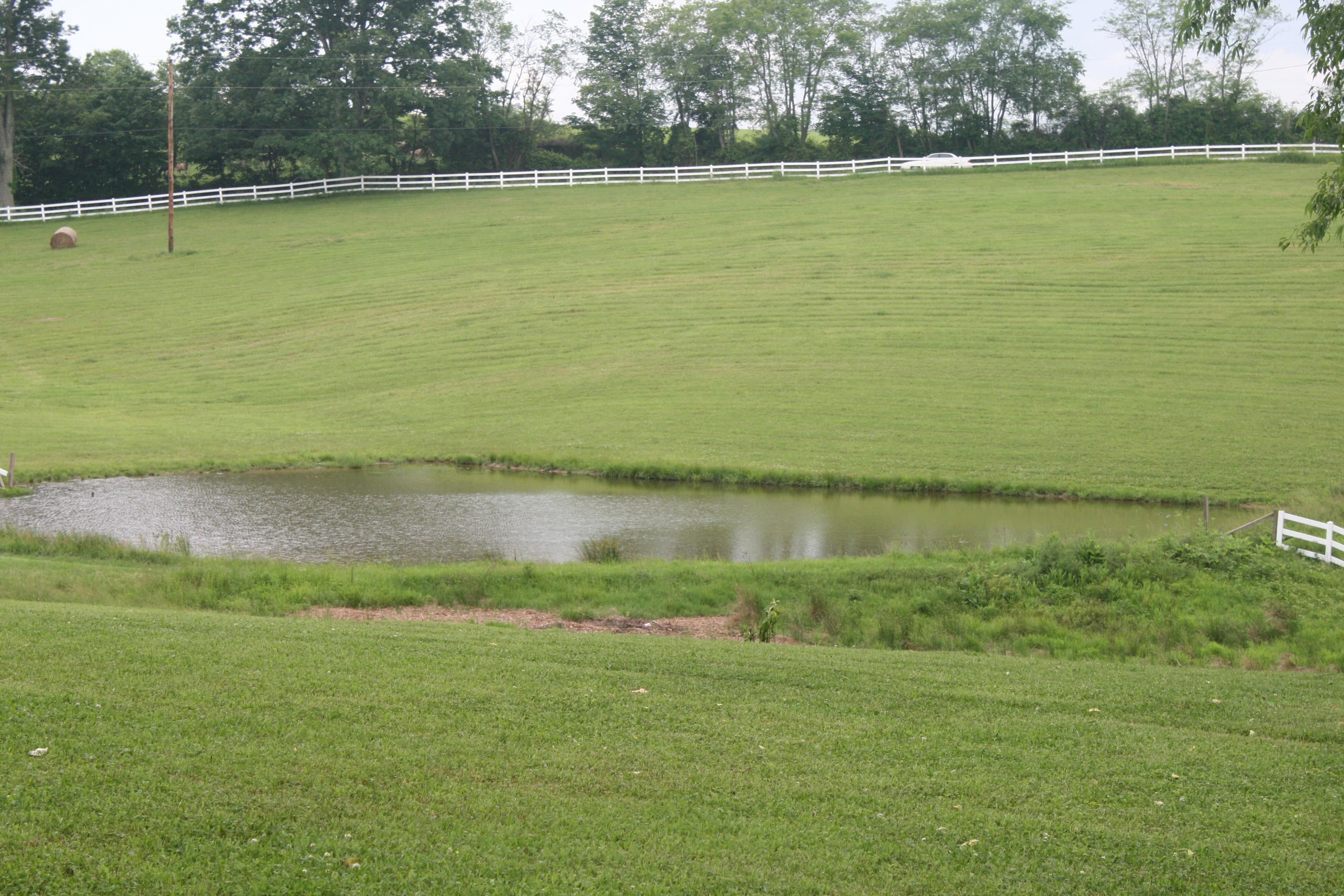 Hickory Ridge Road Lewisburg, WV 24901 - Photo 6 of 9 Gallery Image 6