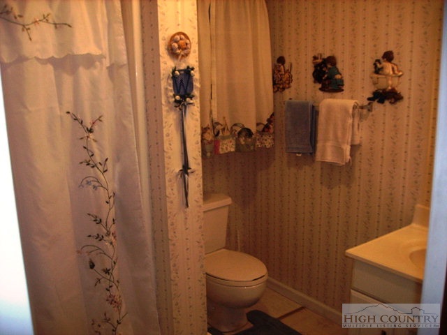 61 Maple Street Sparta, NC 28675 - Photo 4 of 16 Gallery Image 4