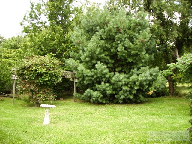 61 Maple Street Sparta, NC 28675 - Photo 7 of 16 Gallery Image 7