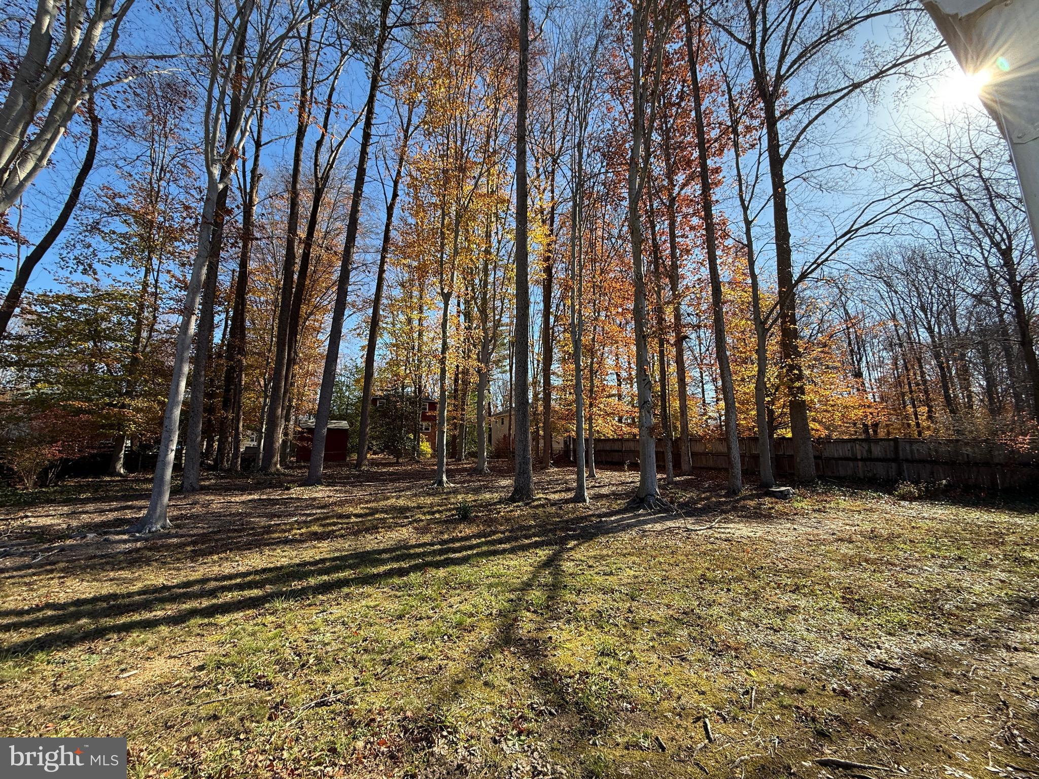 4721 Springbrook Drive Annandale, VA 22003 - Photo 67 of 69