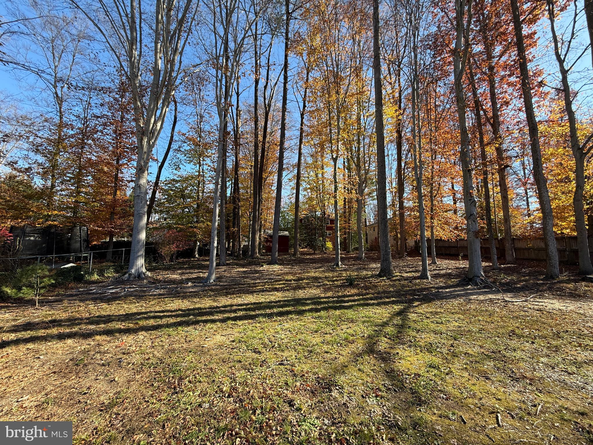 4721 Springbrook Drive Annandale, VA 22003 - Photo 68 of 69