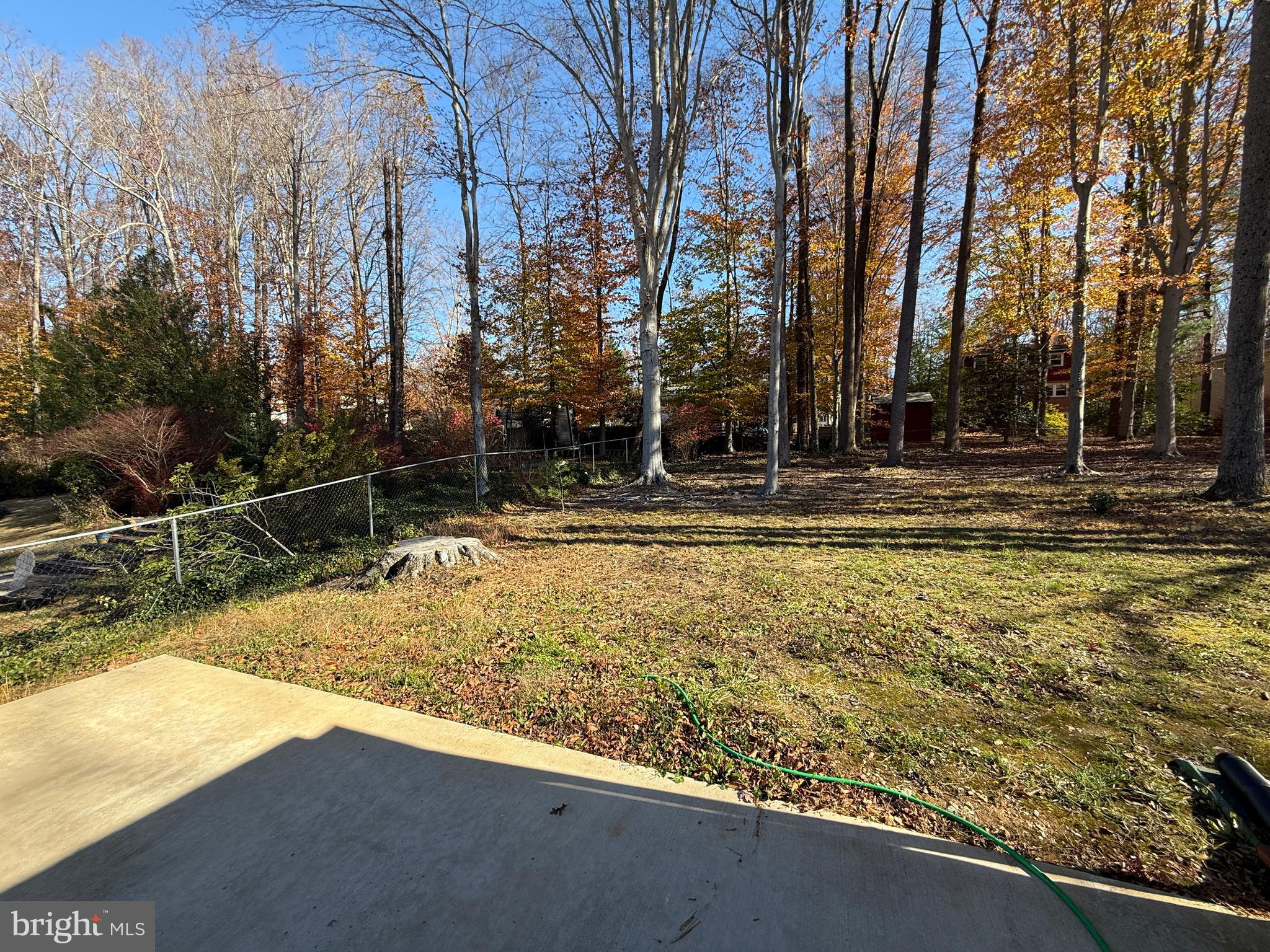 4721 Springbrook Drive Annandale, VA 22003 - Photo 69 of 69 a view of a yard with trees