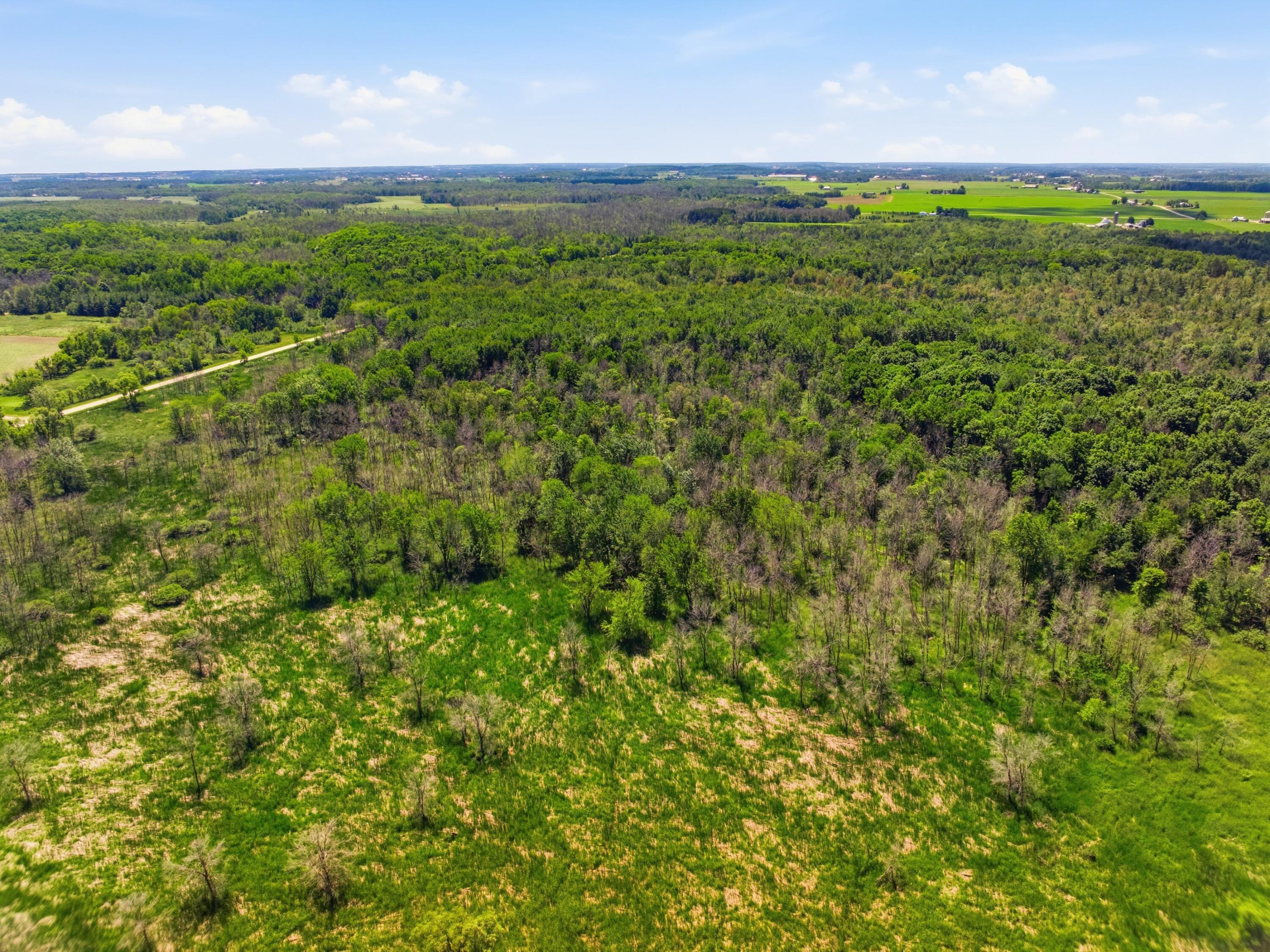 1 Tamarack Road Brillion, WI 54110 - Photo 8 of 18 Enjoy the wildlife