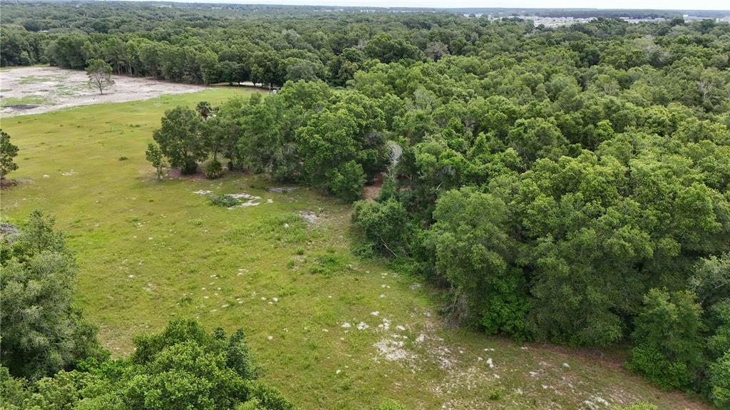 5501 Cemetery Road Mount Dora, FL 32757 - Photo 10 of 16