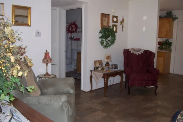 a living room with furniture and a potted plant