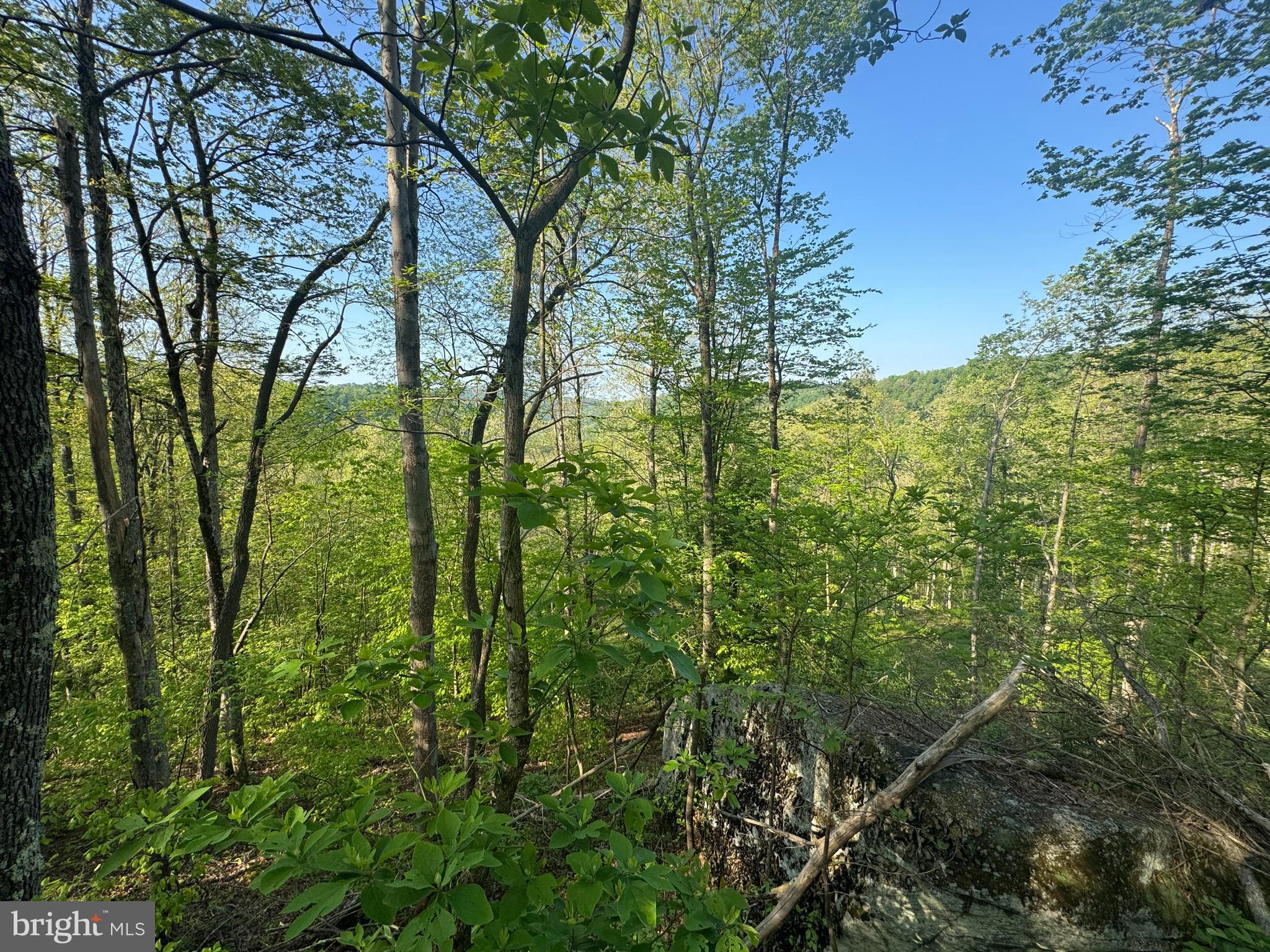 John Orr Road Independence, WV 26374 - Photo 23 of 37