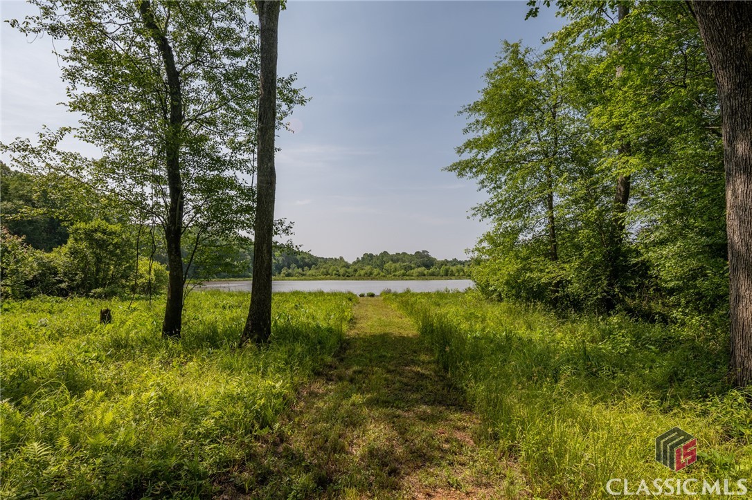 725 Brush Creek Road Colbert, GA 30628 - Photo 53 of 75