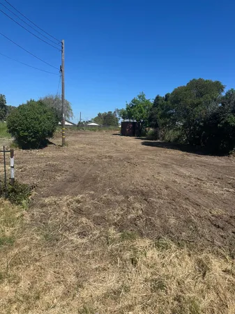 a view of a yard with a tree