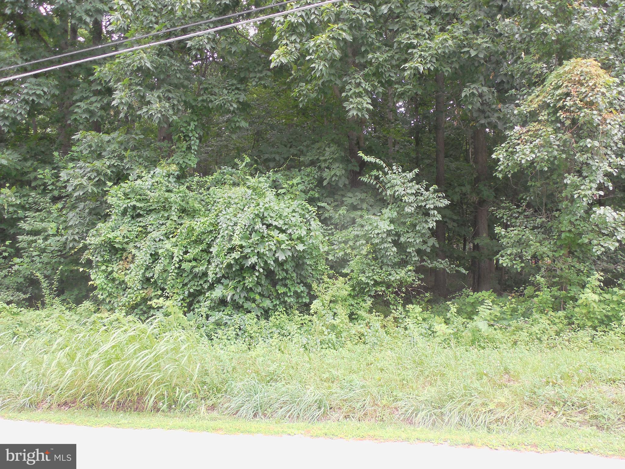 0 Buckwheat Road Fawn Grove, PA 17321 - Photo 2 of 9 Gallery Image 2