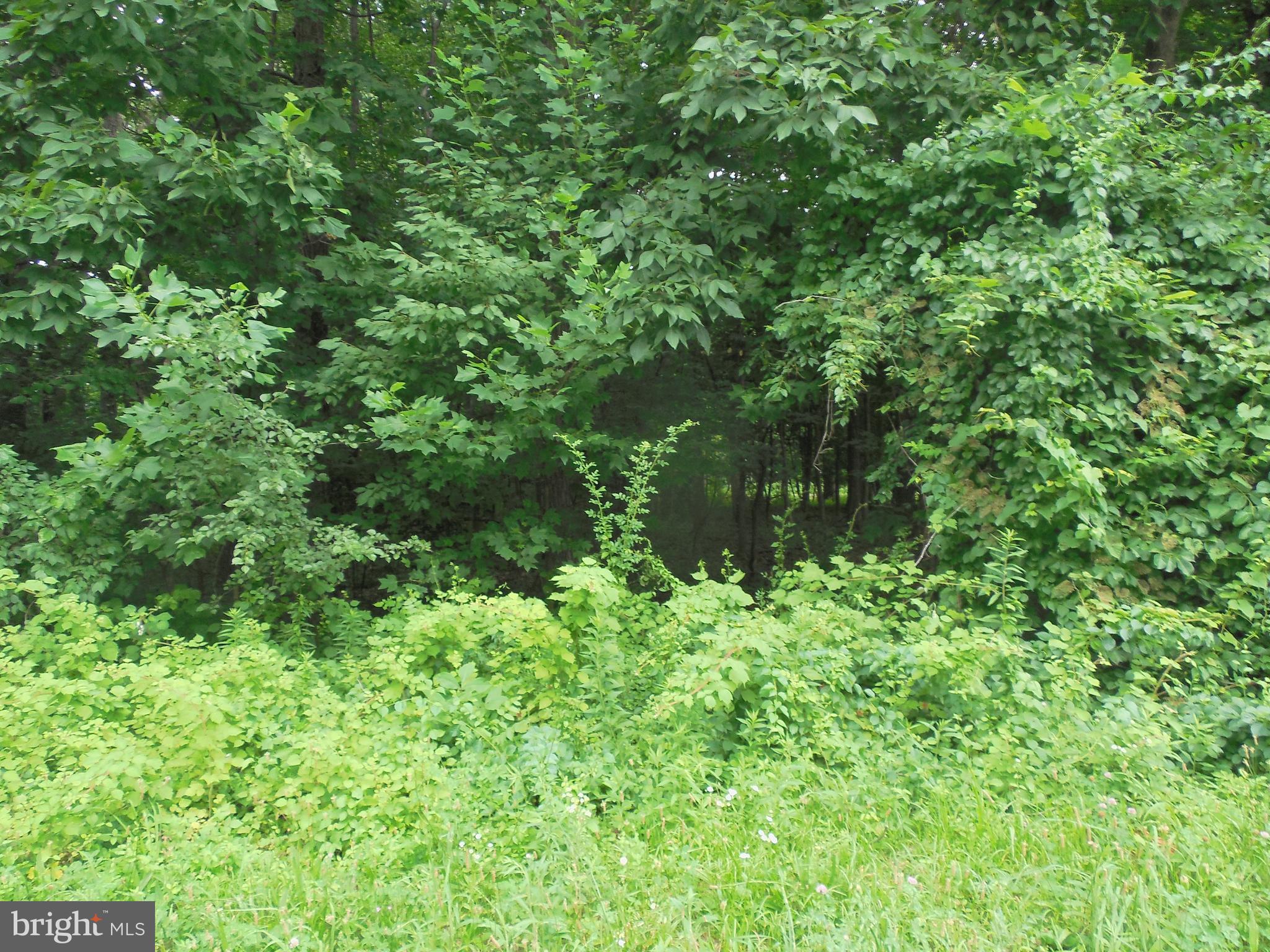 0 Buckwheat Road Fawn Grove, PA 17321 - Photo 3 of 9 Gallery Image 3