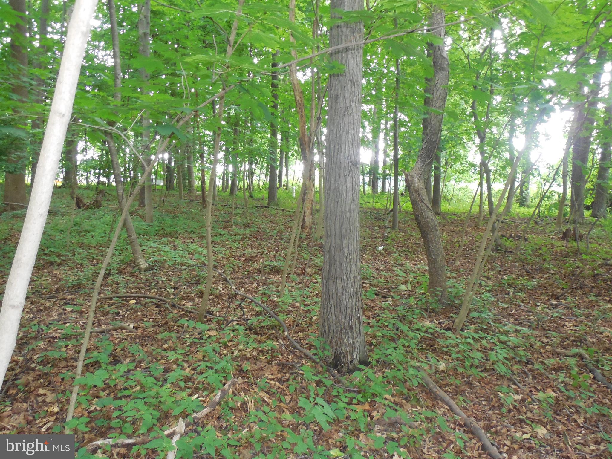 0 Buckwheat Road Fawn Grove, PA 17321 - Photo 4 of 9 Gallery Image 4
