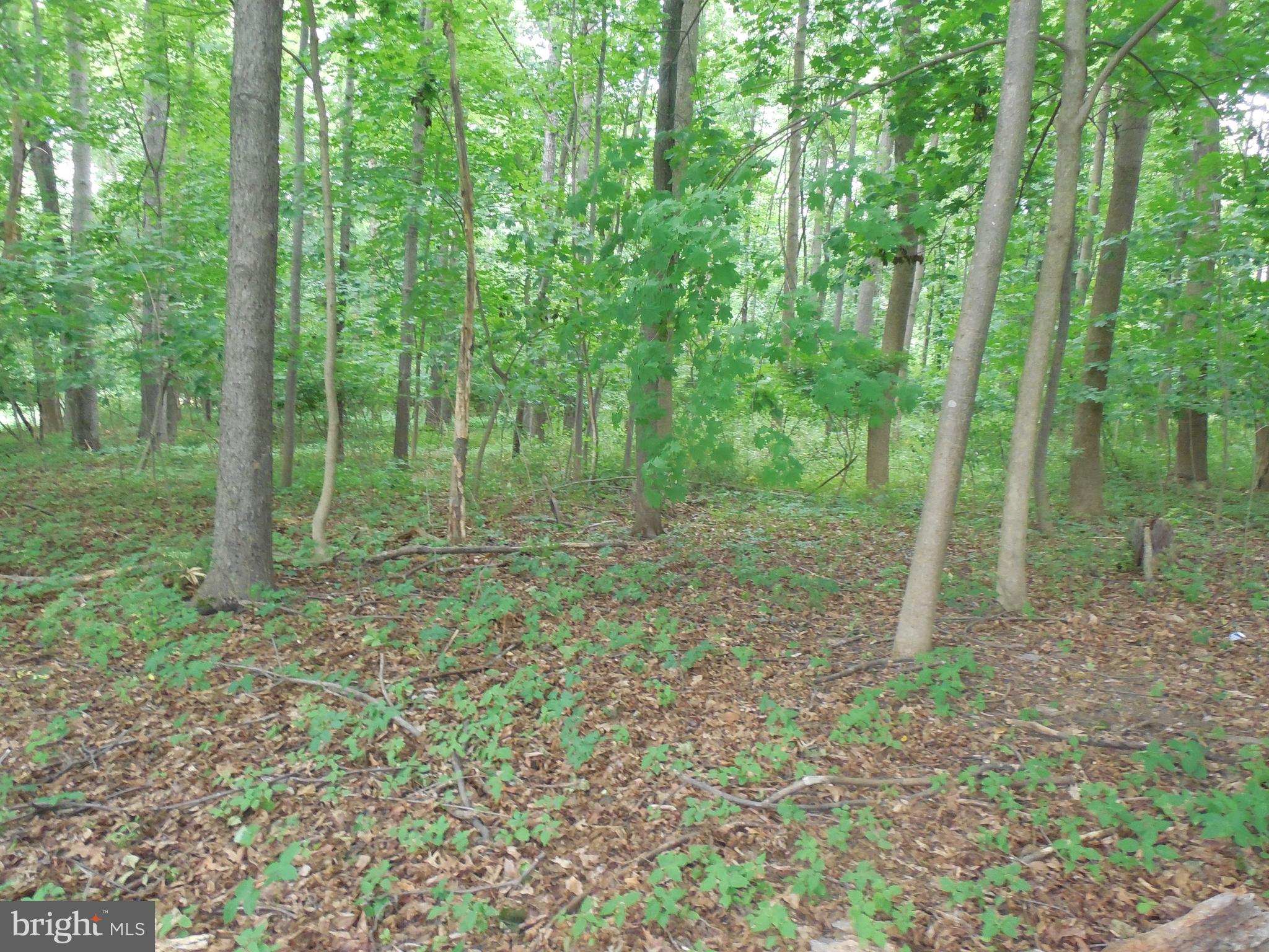 0 Buckwheat Road Fawn Grove, PA 17321 - Photo 5 of 9 Gallery Image 5