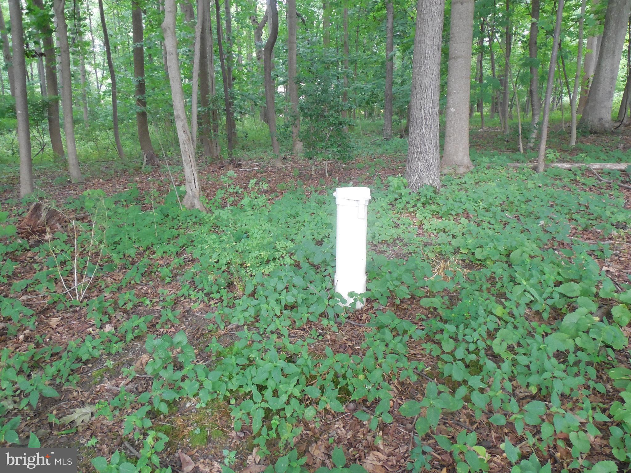 0 Buckwheat Road Fawn Grove, PA 17321 - Photo 6 of 9 Gallery Image 6