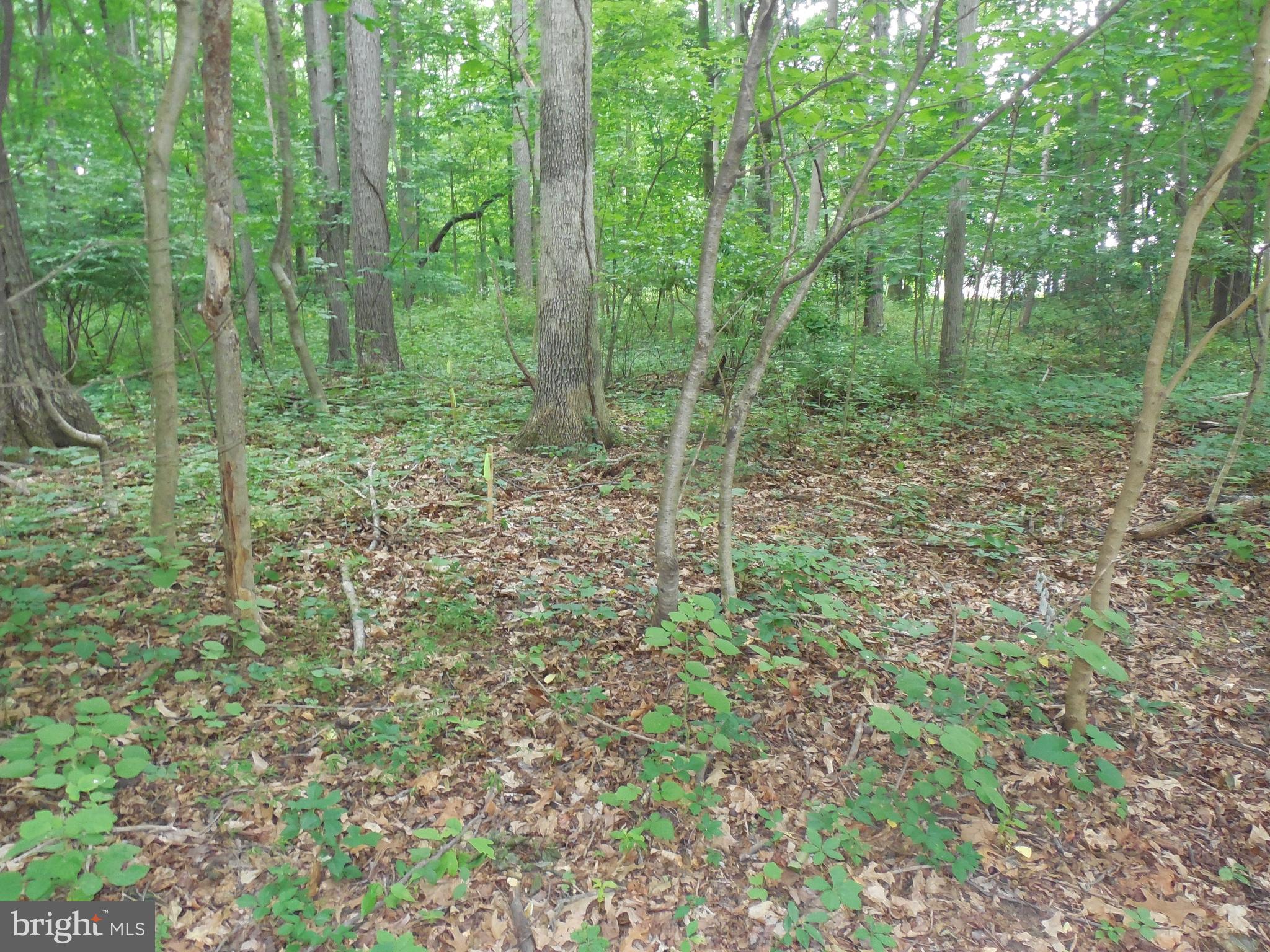 0 Buckwheat Road Fawn Grove, PA 17321 - Photo 8 of 9 Gallery Image 8