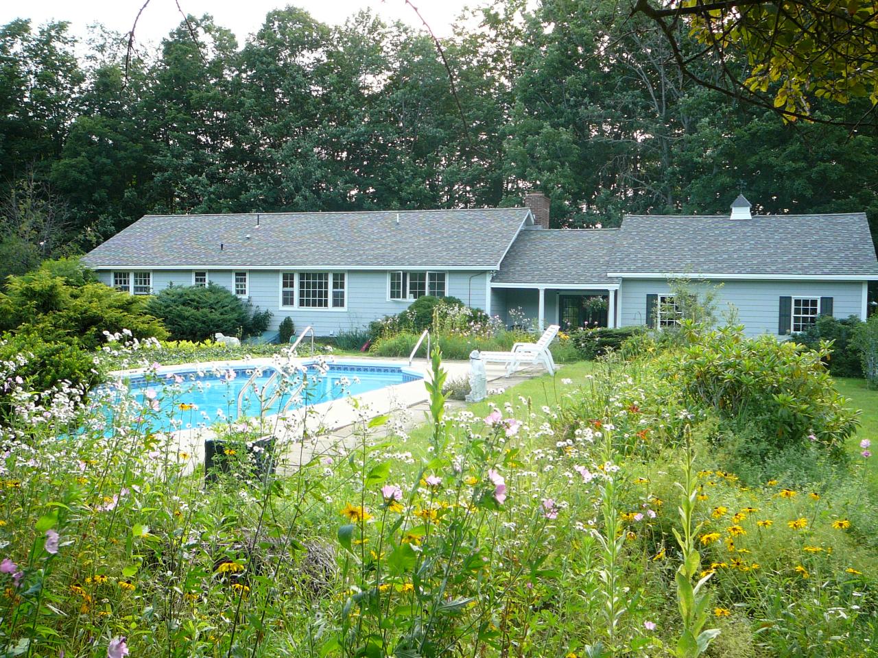 1699 Dublin Road Richmond, MA 01254 - Photo 4 of 9 a front view of a house with a yard and potted plants