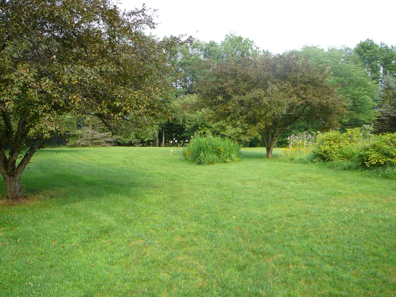 1699 Dublin Road Richmond, MA 01254 - Photo 9 of 9 a view of grassy field with trees