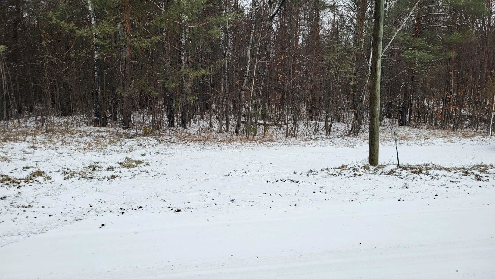 395 East Simpson Road Mancelona, MI 49659 - Photo 2 of 10 Gallery Image 2