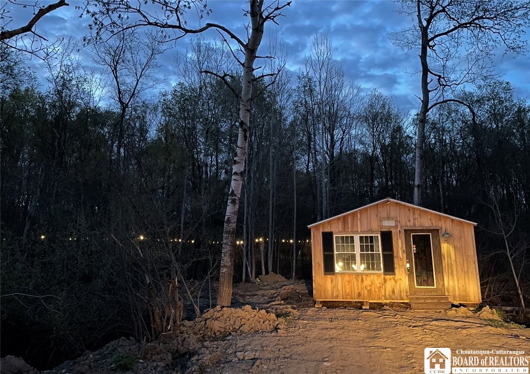 2996 Bard Road Arkwright, NY 14718 - Photo 8 of 42 cabin