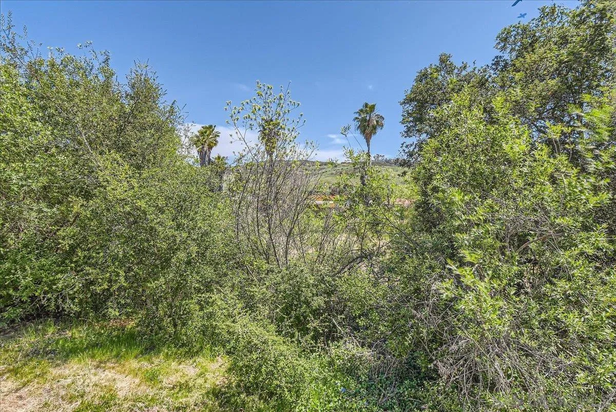 12709 Oak Knoll Road Poway, CA 92064 - Photo 28 of 36 a view of a yard
