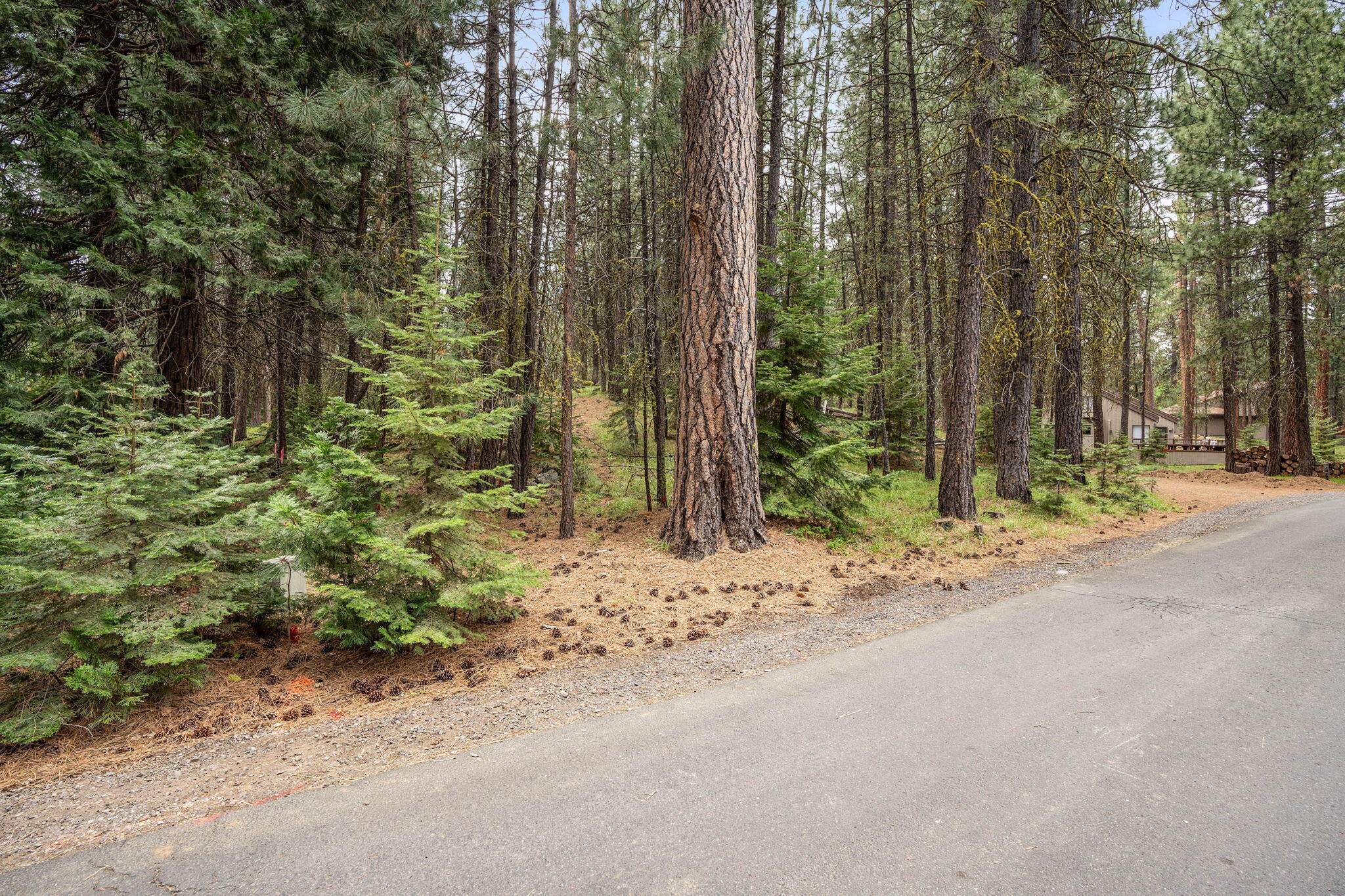 Undisclosed Address Black Butte Ranch, OR 97759 - Photo 5 of 24 a backyard of a house with outdoor seating