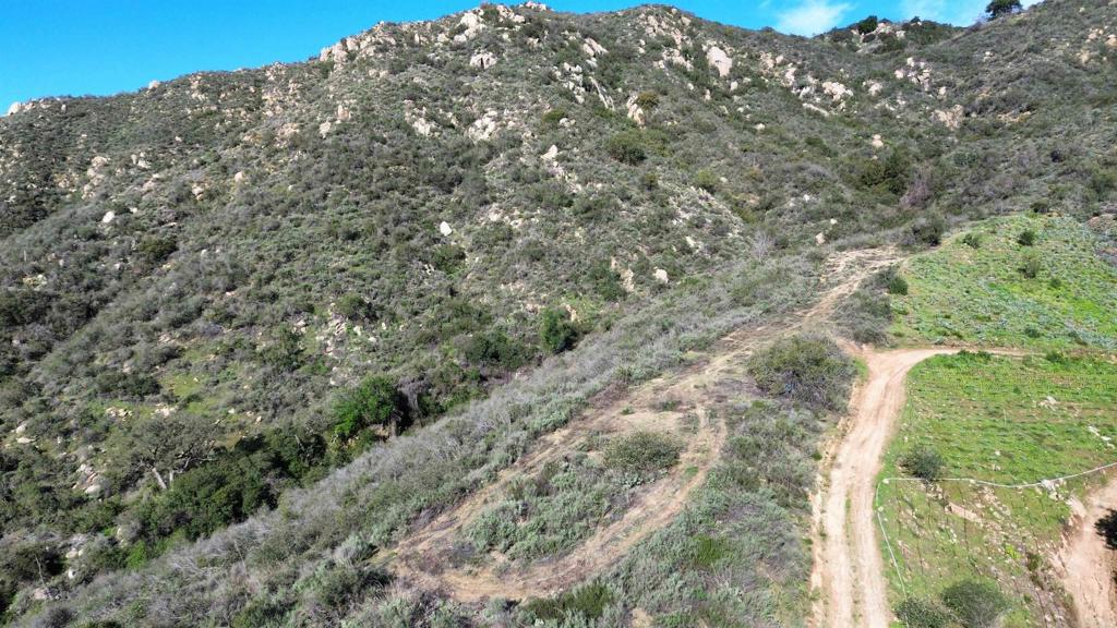 De Luz Murrieta Road Fallbrook, CA 92028 - Photo 13 of 34 a view of a forest with a tree