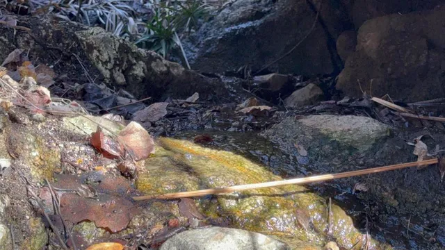 $179,900 | De Luz Murrieta Road, Fallbrook, CA 92028