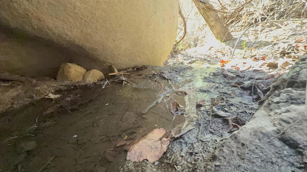 De Luz Murrieta Road Fallbrook, CA 92028 - Photo 16 of 34 a view of a backyard of the house