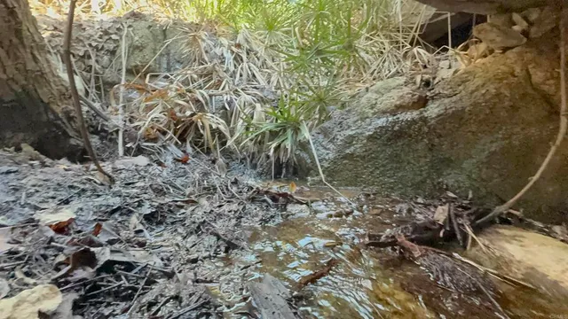 $179,900 | De Luz Murrieta Road, Fallbrook, CA 92028