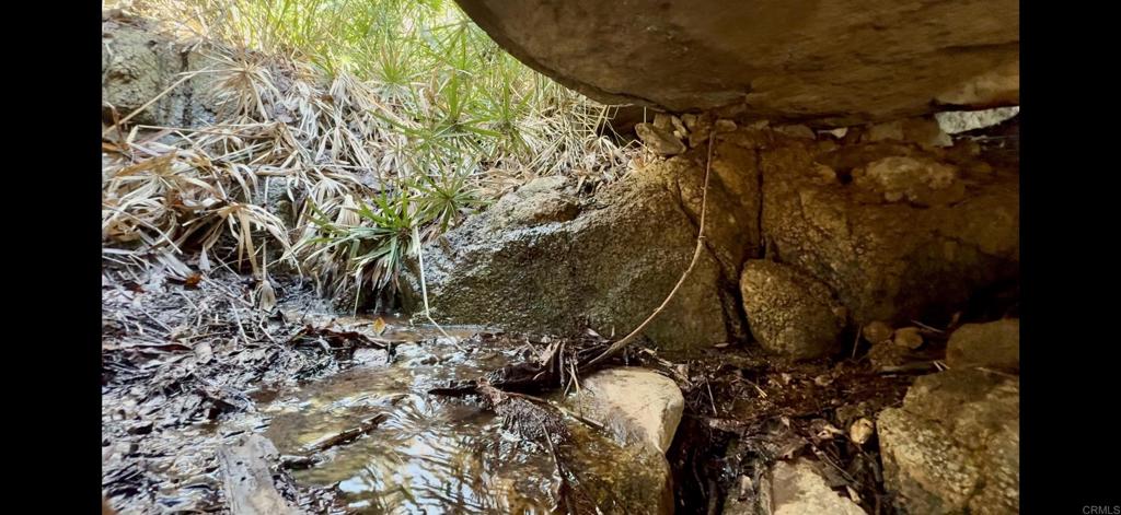 De Luz Murrieta Road Fallbrook, CA 92028 - Photo 19 of 34 a view of a backyard