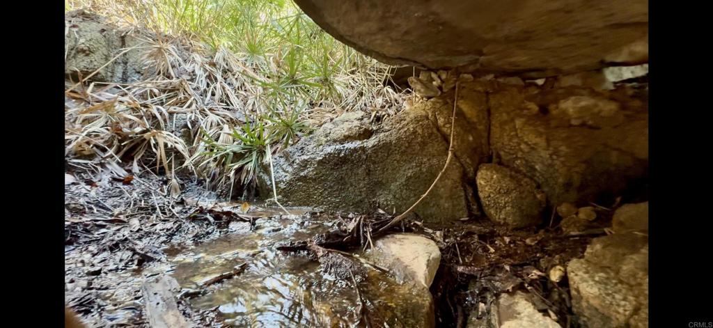 De Luz Murrieta Road Fallbrook, CA 92028 - Photo 21 of 34 a bathroom with a toilet and a shower curtain