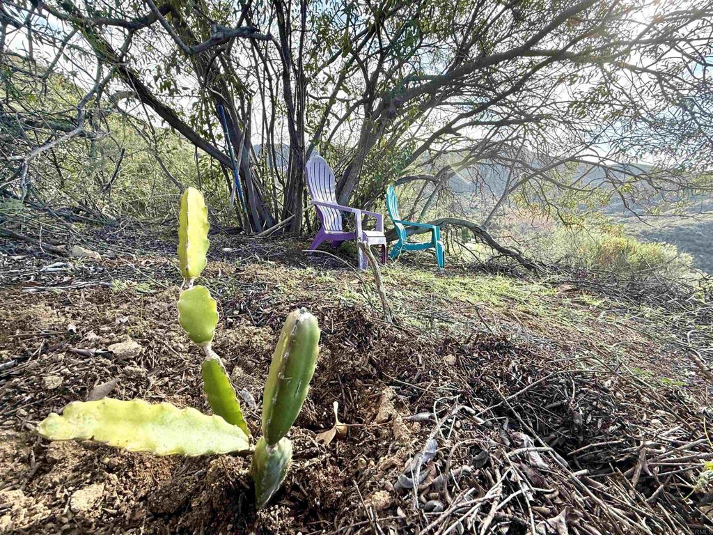 De Luz Murrieta Road Fallbrook, CA 92028 - Photo 25 of 34 a house view with a backyard space