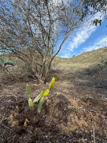 $179,900 | De Luz Murrieta Road, Fallbrook, CA 92028