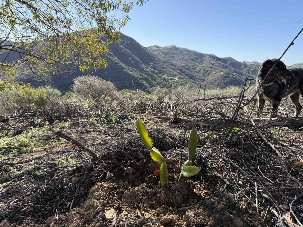 De Luz Murrieta Road Fallbrook, CA 92028 - Photo 28 of 34 a view of a city