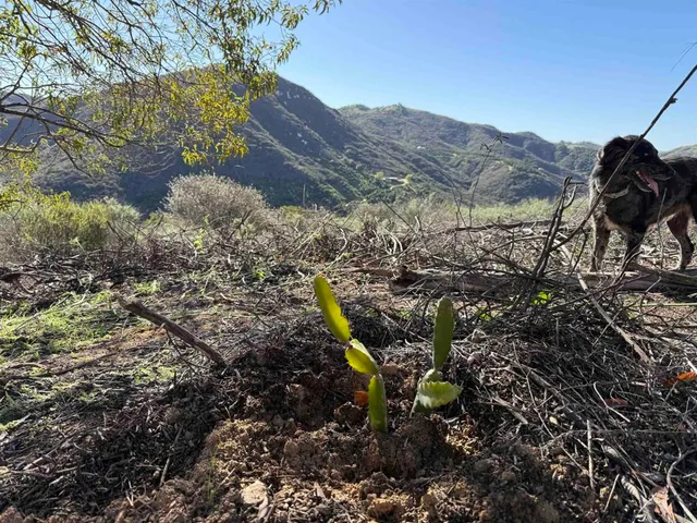 $179,900 | De Luz Murrieta Road, Fallbrook, CA 92028