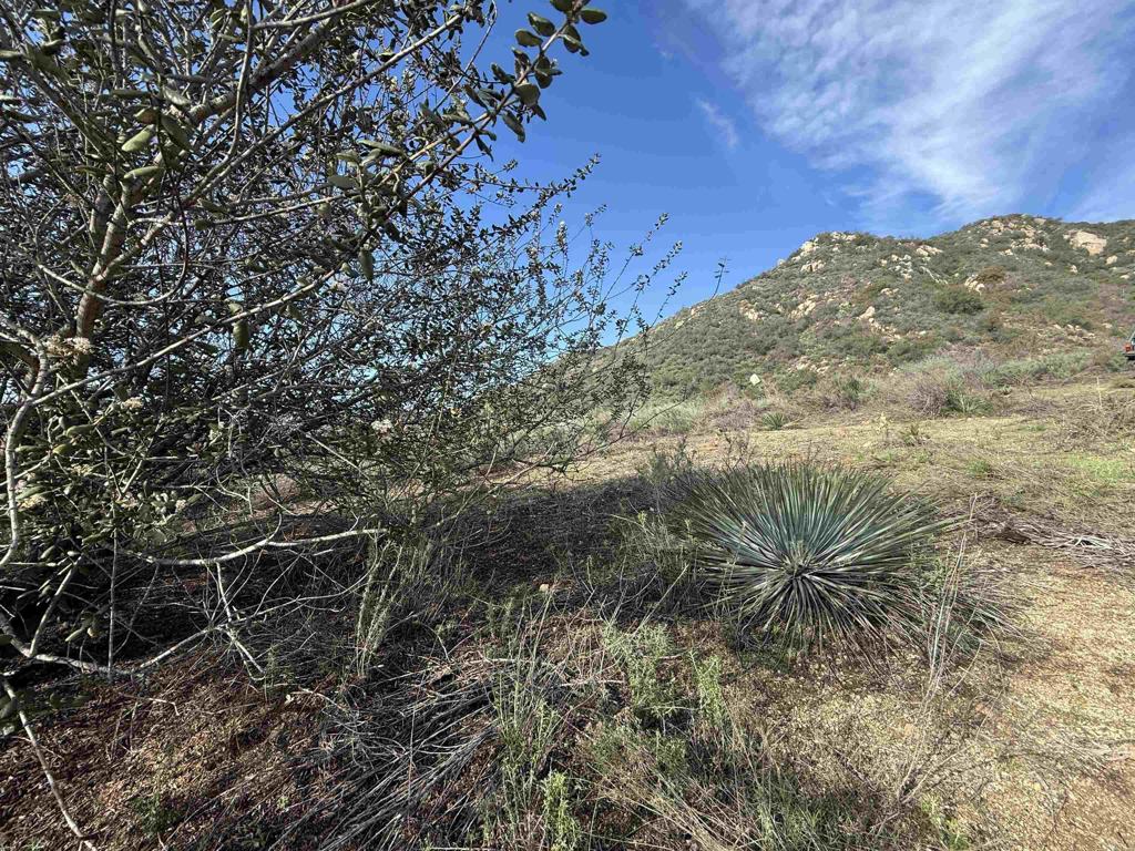 De Luz Murrieta Road Fallbrook, CA 92028 - Photo 32 of 34 a view of a field