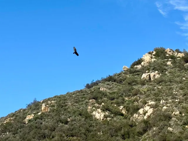 $179,900 | De Luz Murrieta Road, Fallbrook, CA 92028