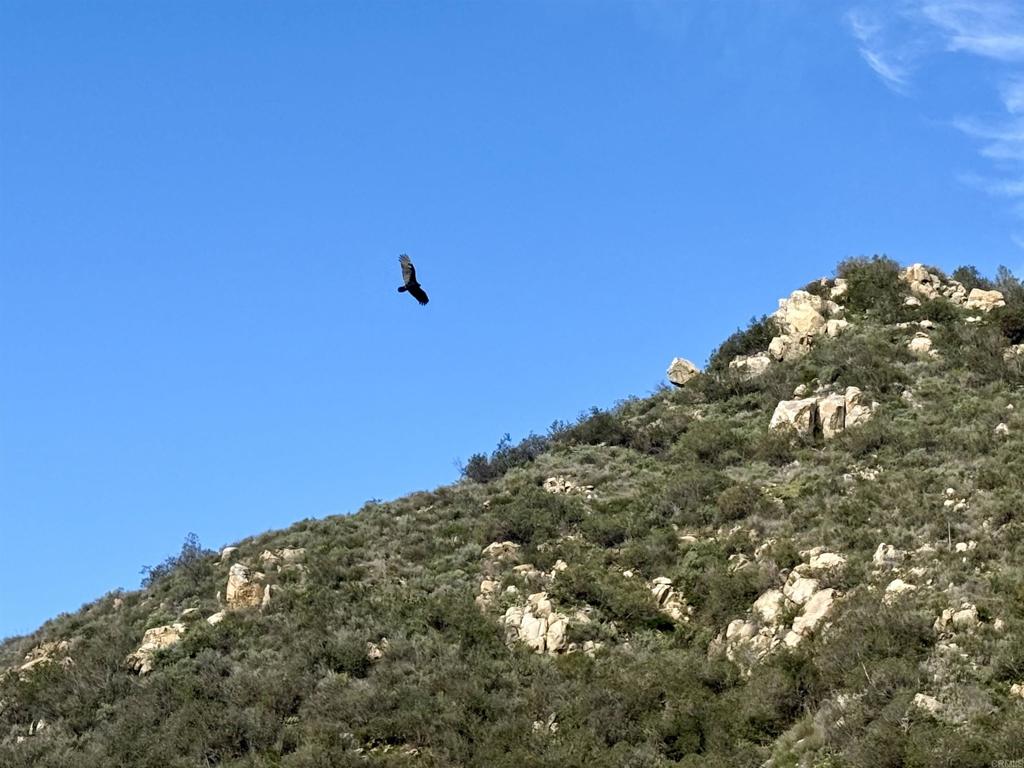 De Luz Murrieta Road Fallbrook, CA 92028 - Photo 8 of 34 a view of a large building with lots of tree