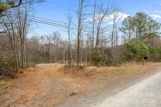 a view of a yard with trees
