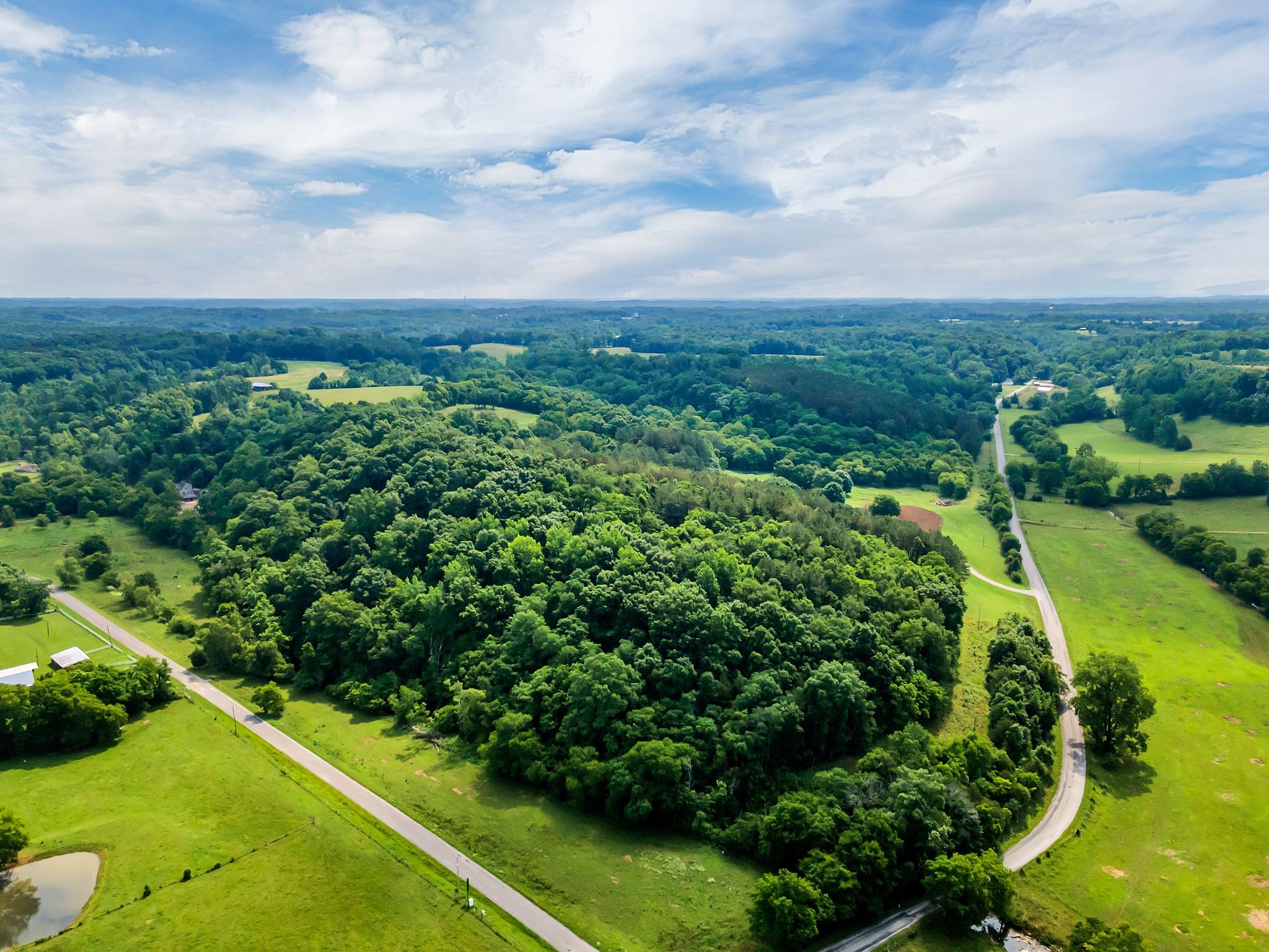1764 Wray Branch Road Minor Hill, TN 38473 - Photo 5 of 28