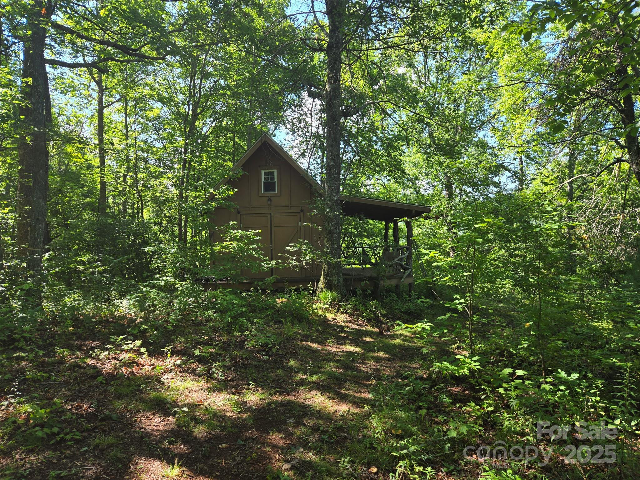 0 Wedgewood Cove Road Sylva, NC 28779 - Photo 6 of 15 a view of a tree in a forest