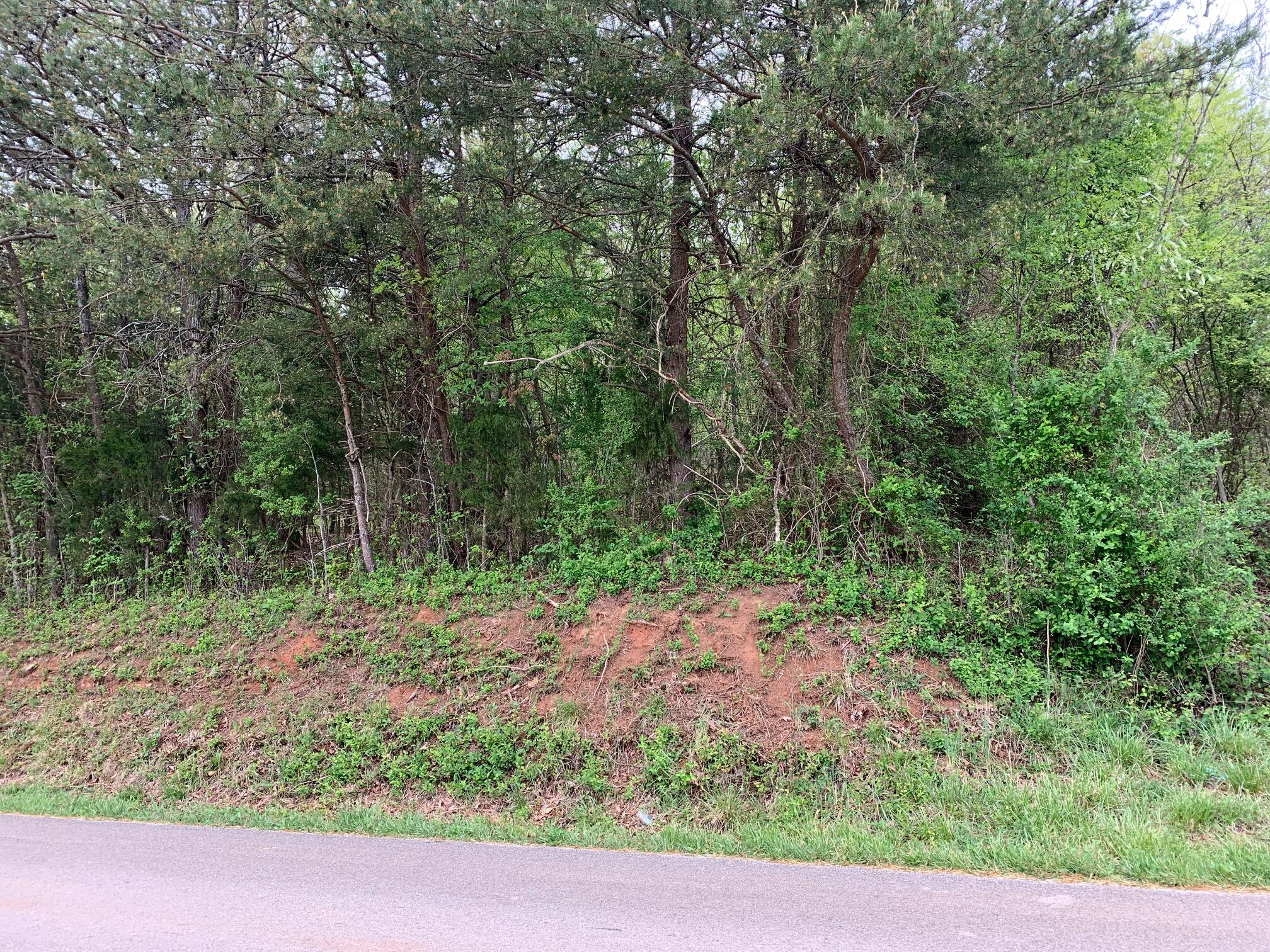 3475 Peterson Road Greenback, TN 37742 - Photo 1 of 6 View from the road looking at the lot