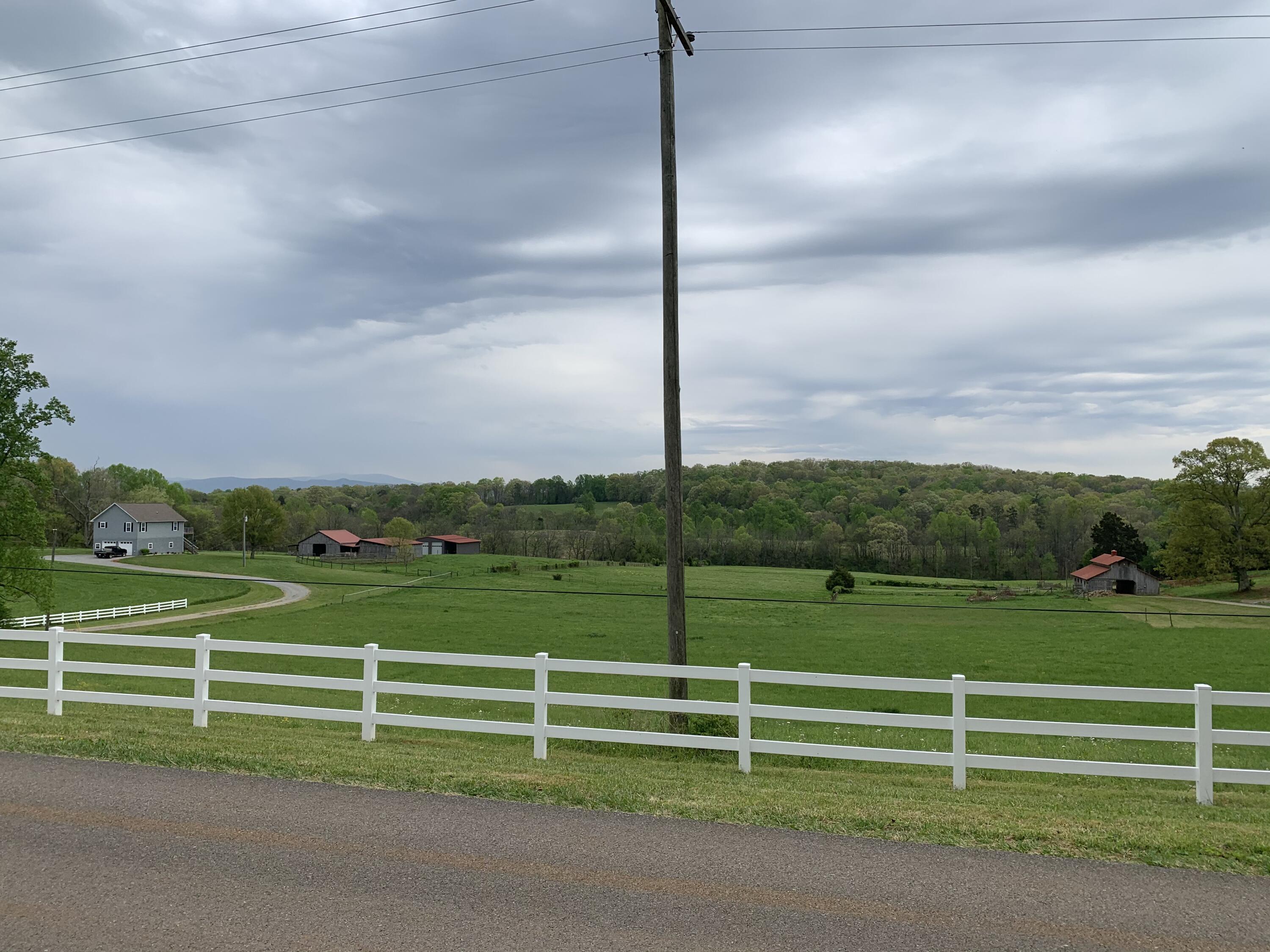 3475 Peterson Road Greenback, TN 37742 - Photo 4 of 6 View from lot
