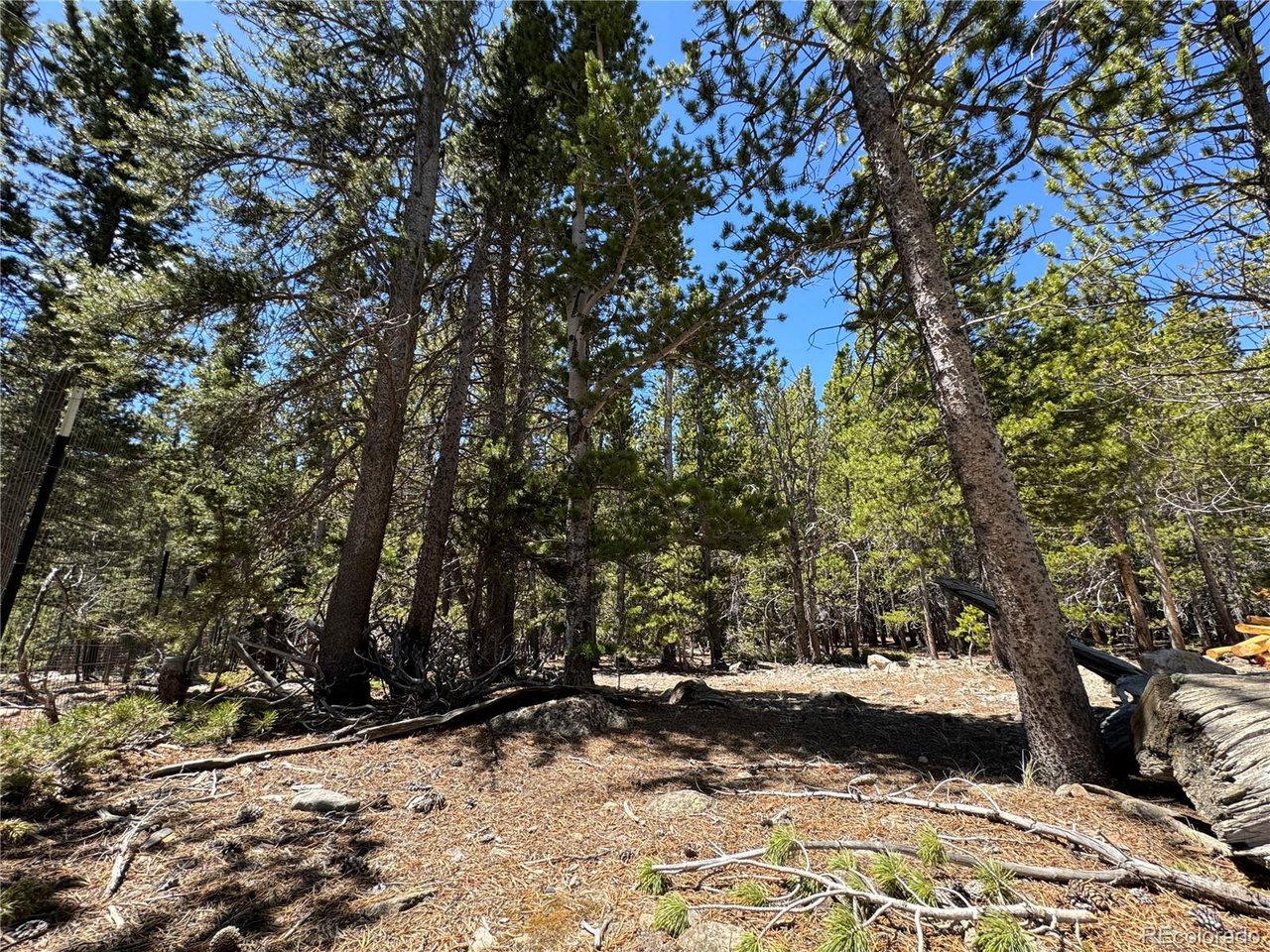 342 Eva Road Idaho Springs, CO 80452 - Photo 3 of 26 Gallery Image 3