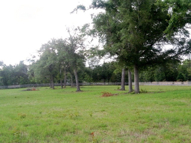 374 Cedar Road Windsor, SC 29856 - Photo 5 of 8