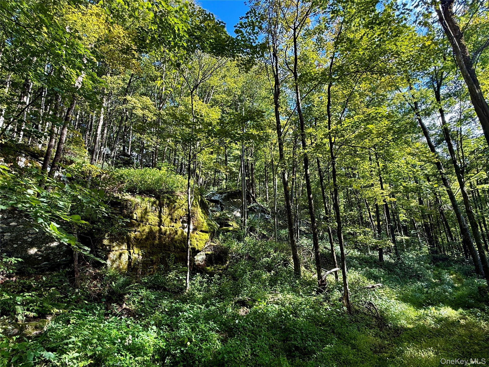 216 Neer Road Long Eddy, NY 12760 - Photo 8 of 48