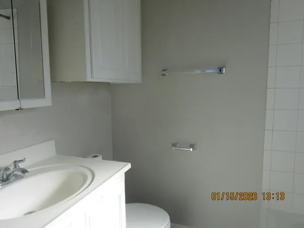 a bathroom with a sink and toilet