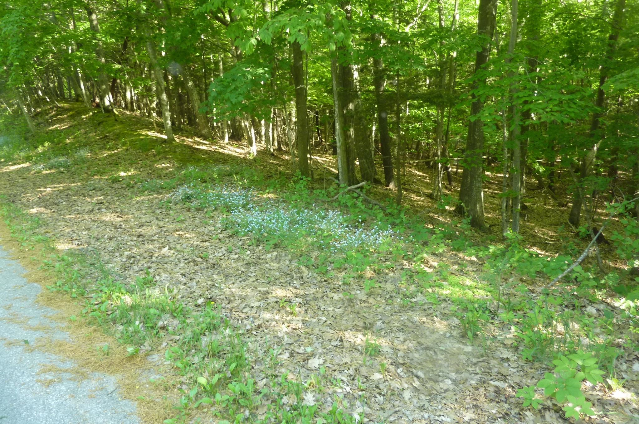 Oo Point Betsie Road Frankfort, MI 49635 - Photo 2 of 13