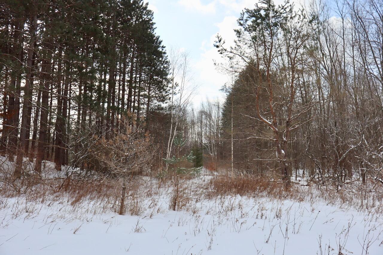 6182 Hamilton Road Harrison, MI 48625 - Photo 21 of 56