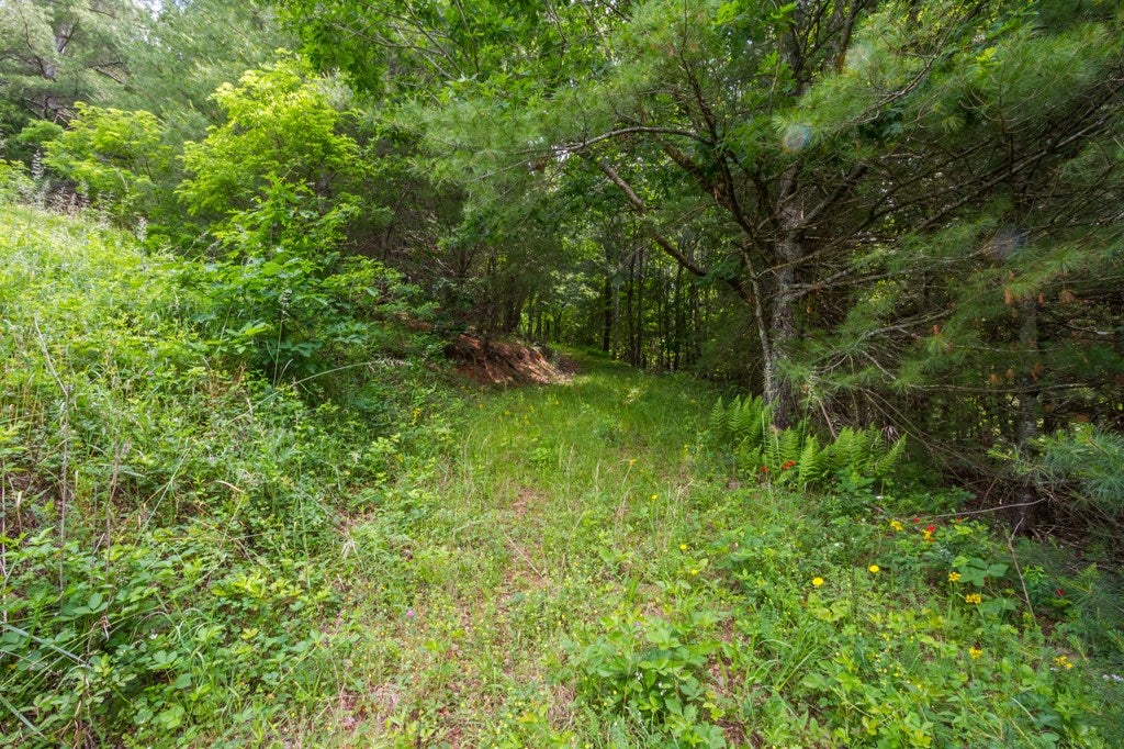 Lot 4 Gem Stream Road, Unit 4 Elk Creek, VA 24326 - Photo 10 of 33 Gallery Image 10